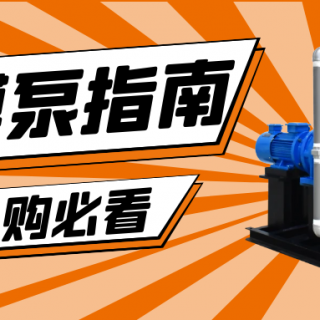 收下這份隔膜泵采購指南，助你龍年“泵”發(fā)生產(chǎn)活力